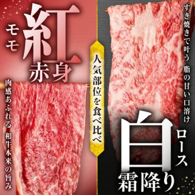 松阪牛 紅白すき焼き (ロース・肩ロース・モモ) 1kg