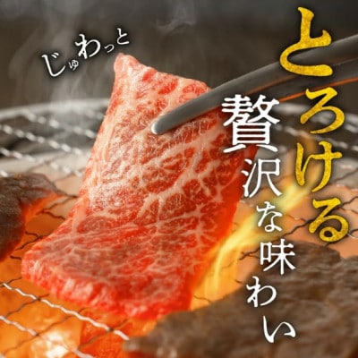 松阪牛 ヒレ 焼肉用 500g