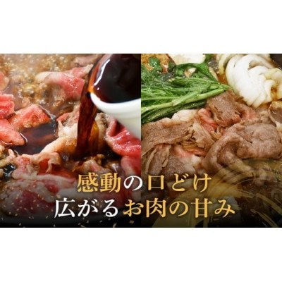 松阪牛ロースすき焼き(500グラム)【3-143】