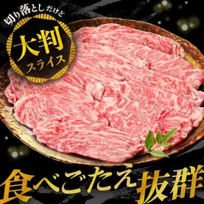 松阪牛 赤身 切り落とし 1kg【00875_3】