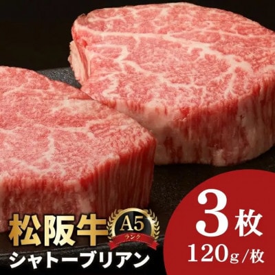 松阪牛 A5 シャトーブリアンステーキ 360g(120g×3枚)【7.2-4】