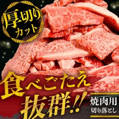 松阪牛　焼肉用　切り落とし　1kg 【00890_3】