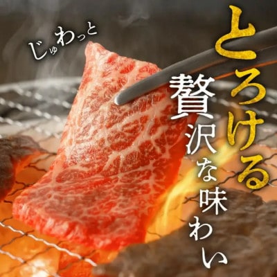 松阪牛　焼肉用　切り落とし　1kg 【00890_3】