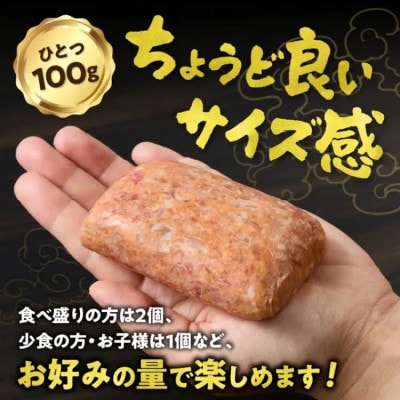 松阪牛 生ハンバーグ 1kg ( 100g ×10個 )【1-439】
