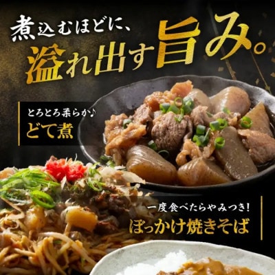 松阪牛　スジ肉　600g【1-440】