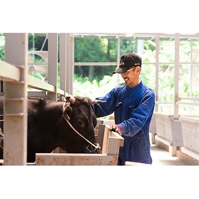 【三重県松阪市】産 住にし方の大石牛 リブローススライス 500g