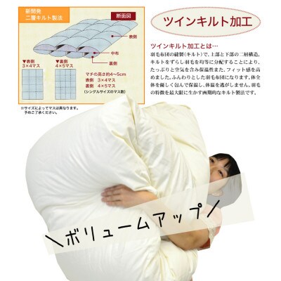 ザ・羽毛布団 プレミアムゴールドラベル セミダブル 170×210cm ダウン95% 掛け布団 羽毛