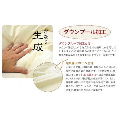 ザ・羽毛布団 プレミアムゴールドラベル セミダブル 170×210cm ダウン95% 掛け布団 羽毛