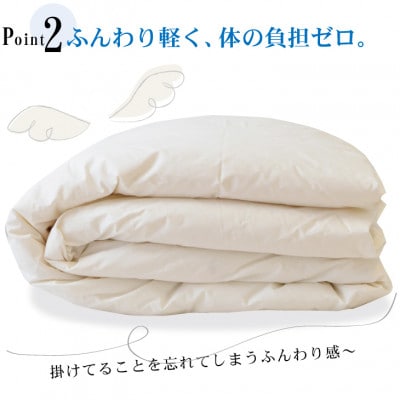 夏に使う羽毛布団 ニューゴールドラベル シングル 150×210cm ダウン85% 掛け布団 羽毛