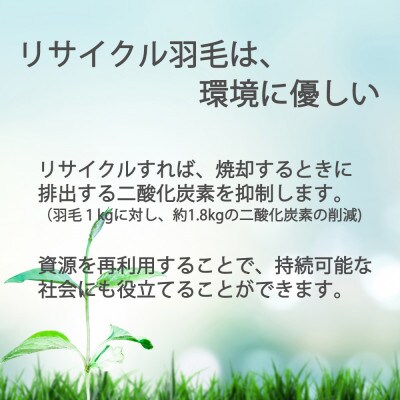 ザ・羽毛布団 リサイクルダウン ダブル 190×210cm 羽毛 掛け布団 立体キルト