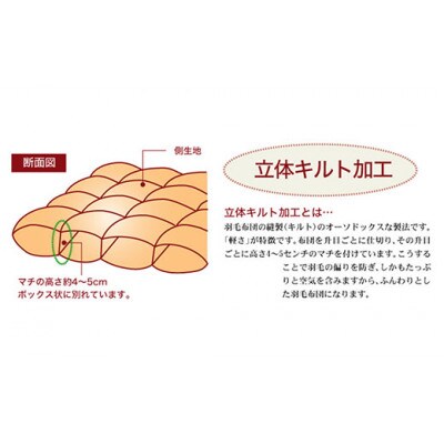 ザ・羽毛布団 プレミアムゴールドラベル セミダブル 170×210cmポーランド産グース 立体キルト