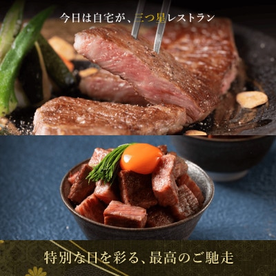 【毎月定期便】極上松阪牛 堪能コース(定期便5ヵ月)全5回