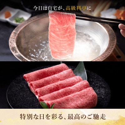 【毎月定期便】極上松阪牛 贅沢コース(定期便9ヵ月)全9回