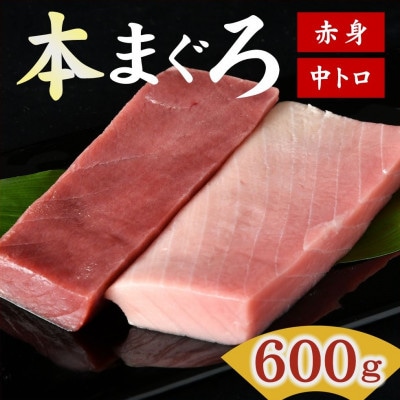 国産本まぐろ (赤身・中トロ) 短冊セット 600g以上 (150g以上×4本)