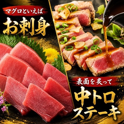 国産本まぐろ (赤身・中トロ) 短冊セット 600g以上 (150g以上×4本)