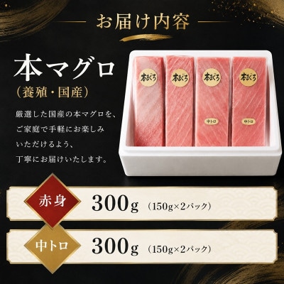 国産本まぐろ (赤身・中トロ) 短冊セット 600g以上 (150g以上×4本)
