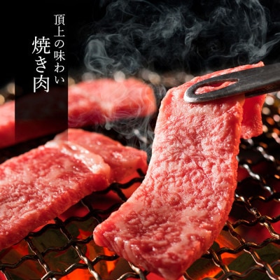 松阪牛 極上焼肉 おまかせ6種 600g