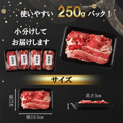【訳あり】松阪牛プレミアム切り落とし1kg(250g×4P)
