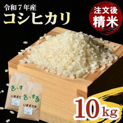 コシヒカリ 精米 10kg (5kg×2)