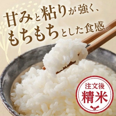コシヒカリ 精米 10kg (5kg×2)