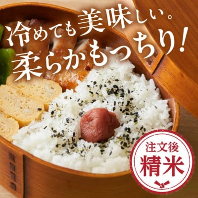 ミルキークイーン 精米 10kg (5kg×2)