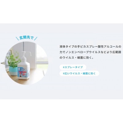 手ピカスプレー 420mL×6個