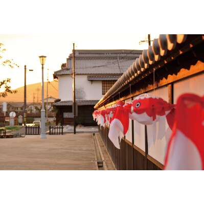 金魚ちょうちん(大)1個(中)1個(小)2個　合計4点セット　
