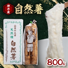 国産自然薯800g