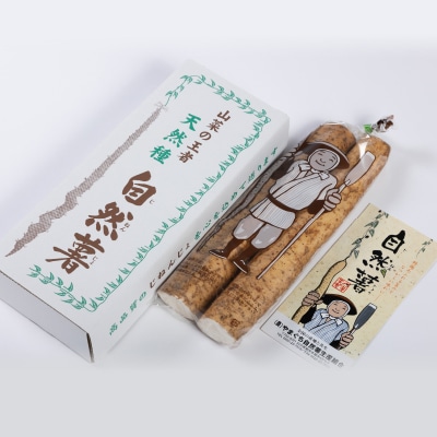 国産自然薯800g
