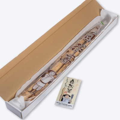国産自然薯1.8kg