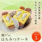 瀬戸のはちみつケーキ3本セット