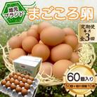 【毎月定期便】「地元ブランド」まごころ卵60個入り(卵50個と割れ保障10個)　鶏卵(生食用)全3回