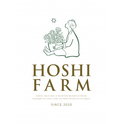 ホシファーム　届いた姿でそのまま飾れるスタンディング薔薇ブーケ　スイート12本