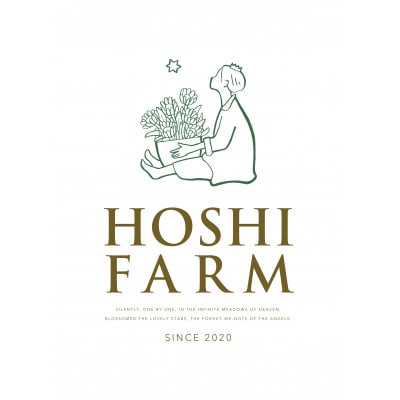 ホシファーム　届いた姿でそのまま飾れるスタンディング薔薇ブーケ　カラフル12本