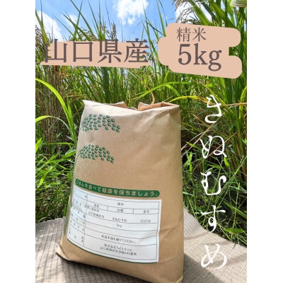 きぬむすめ　精米5kg