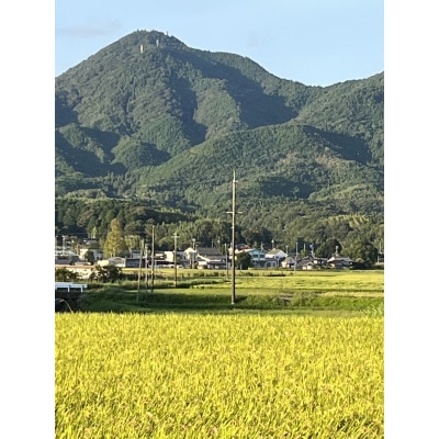 きぬむすめ　精米5kg