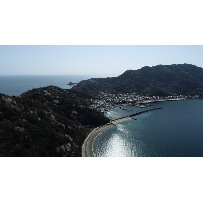 平郡航路 回数旅客乗船券引換券