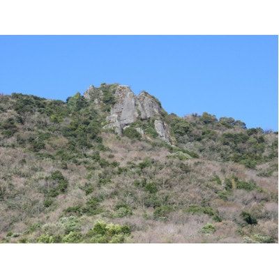 平郡航路 回数旅客乗船券引換券