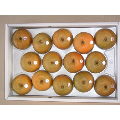 幸水梨　ご家庭用5kg箱　3L～5L(14玉～10玉)