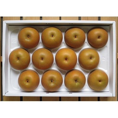 あきづき梨　ご家庭用5kg箱　3L～5L(14玉～10玉)