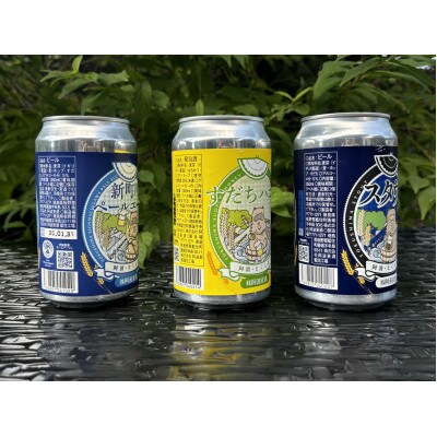 藍住地ビール6本セット(ペールエール、スタウト、すだちハニー　各350ml缶×2本)