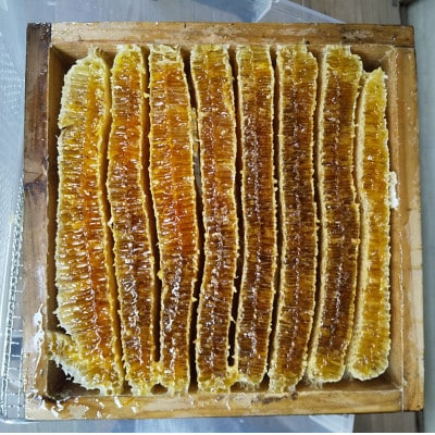 藍の里　日本ミツバチの純粋はちみつ　(200g)