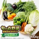【旬のお野菜詰め合わせセット6kg】濱くんちのお野菜から旬のお野菜が届くお楽しみBOX