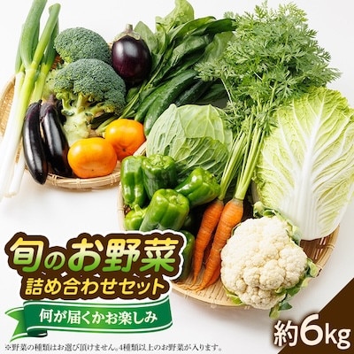 【発送月固定定期便】〈春・秋・冬〉旬のお野菜詰め合わせセット6kg全3回