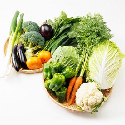 【発送月固定定期便】〈春・秋・冬〉旬のお野菜詰め合わせセット6kg全3回