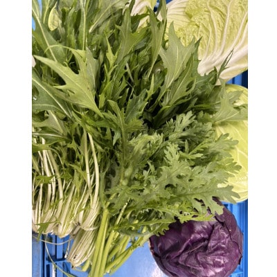 藍愛ファーム　旬野菜セット