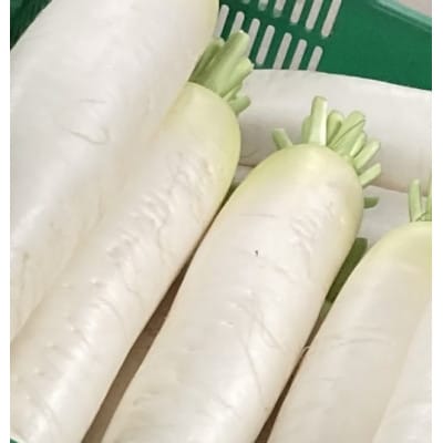 藍愛ファーム　旬野菜セット