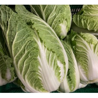 藍愛ファーム　旬野菜セット