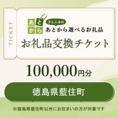 徳島県藍住町　お礼品交換チケット　100,000円分