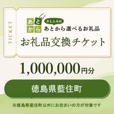 徳島県藍住町　お礼品交換チケット　1,000,000円分